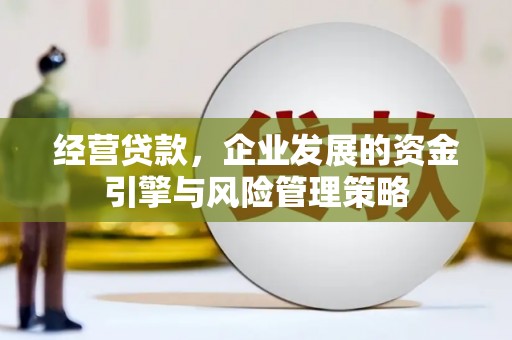 香格里拉经营贷款，企业发展的资金引擎与风险管理策略