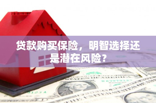 香格里拉贷款购买保险，明智选择还是潜在风险？