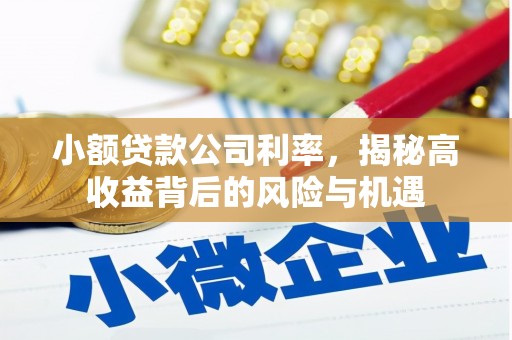 香格里拉小额贷款公司利率，揭秘高收益背后的风险与机遇