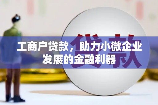 香格里拉工商户贷款，助力小微企业发展的金融利器