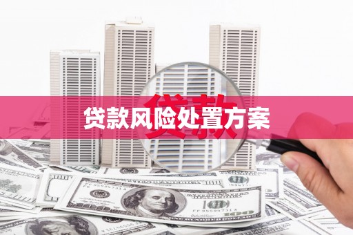 香格里拉贷款风险处置方案