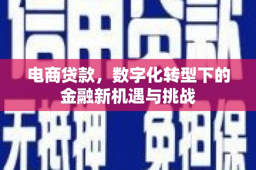 香格里拉电商贷款，数字化转型下的金融新机遇与挑战