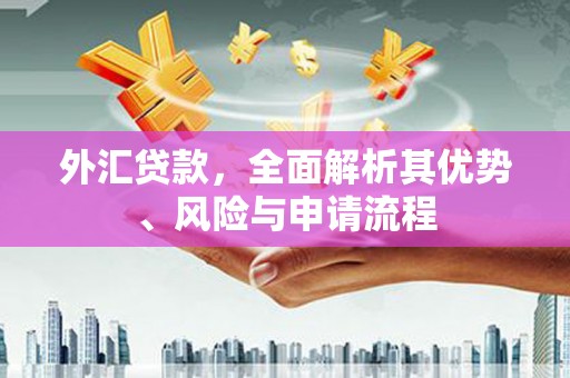 香格里拉外汇贷款，全面解析其优势、风险与申请流程