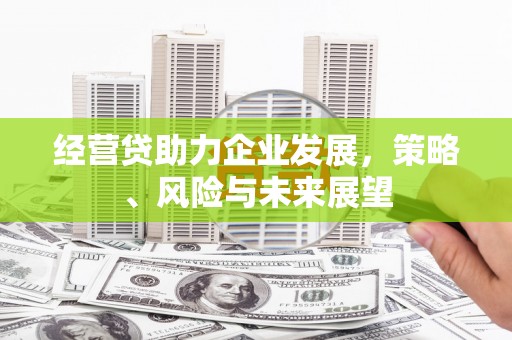 香格里拉经营贷助力企业发展，策略、风险与未来展望