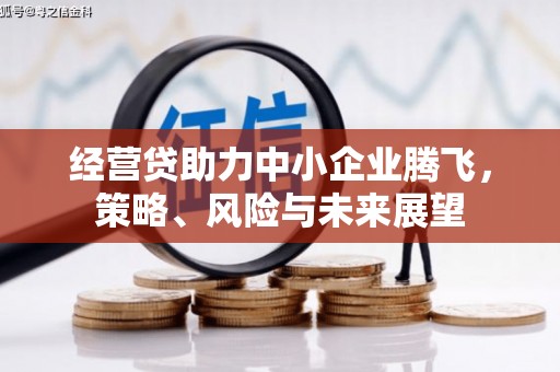 香格里拉经营贷助力中小企业腾飞，策略、风险与未来展望