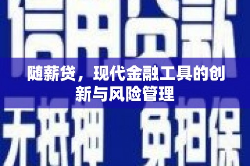 香格里拉随薪贷，现代金融工具的创新与风险管理