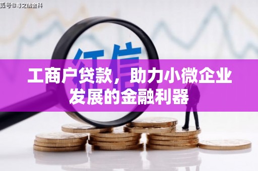 香格里拉工商户贷款，助力小微企业发展的金融利器