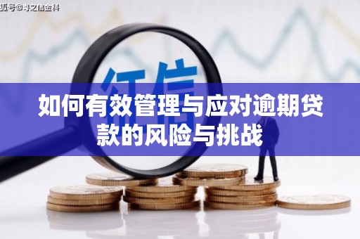 香格里拉如何有效管理与应对逾期贷款的风险与挑战