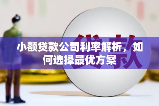 香格里拉小额贷款公司利率解析，如何选择最优方案