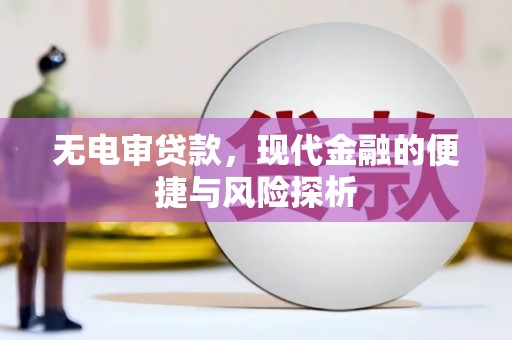 香格里拉无电审贷款，现代金融的便捷与风险探析