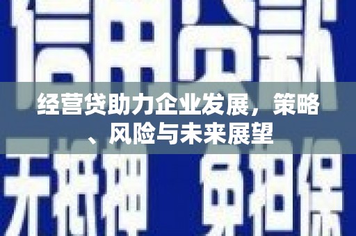 香格里拉经营贷助力企业发展，策略、风险与未来展望