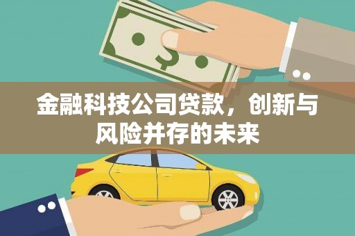 香格里拉金融科技公司贷款，创新与风险并存的未来