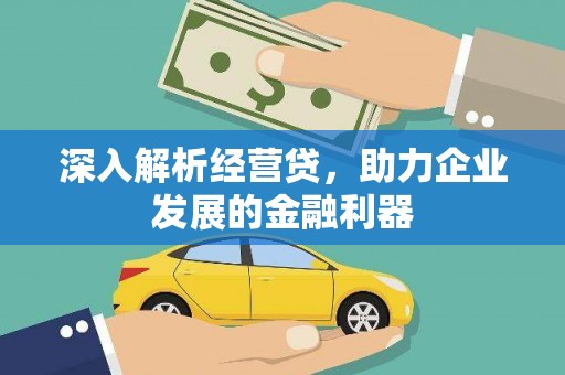 香格里拉深入解析经营贷，助力企业发展的金融利器