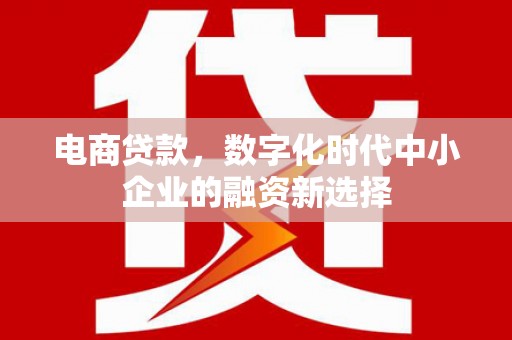 香格里拉电商贷款，数字化时代中小企业的融资新选择