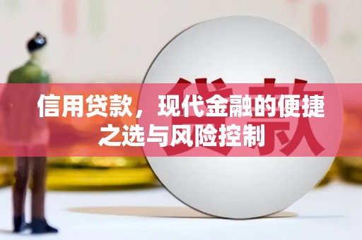 香格里拉信用贷款，现代金融的便捷之选与风险控制