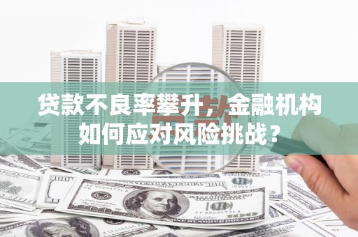 香格里拉贷款不良率攀升，金融机构如何应对风险挑战？
