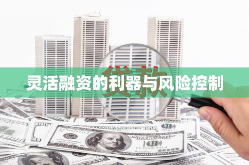 香格里拉灵活融资的利器与风险控制