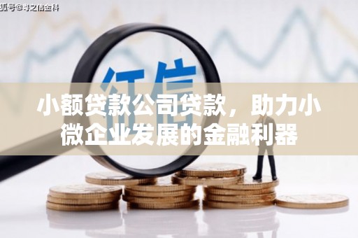 香格里拉小额贷款公司贷款，助力小微企业发展的金融利器