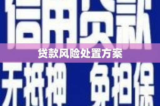 香格里拉贷款风险处置方案
