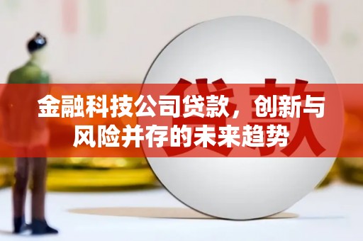 香格里拉金融科技公司贷款，创新与风险并存的未来趋势