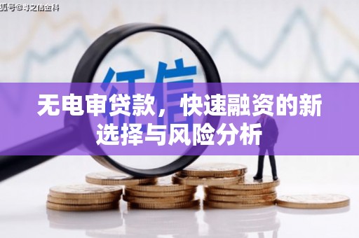 香格里拉无电审贷款，快速融资的新选择与风险分析