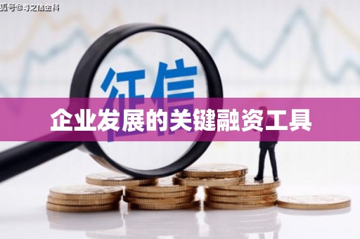 香格里拉企业发展的关键融资工具