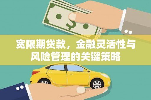 香格里拉宽限期贷款，金融灵活性与风险管理的关键策略