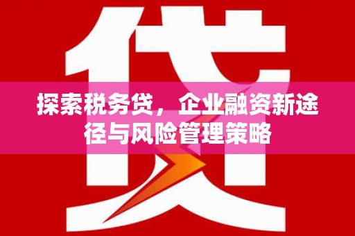 香格里拉探索税务贷，企业融资新途径与风险管理策略