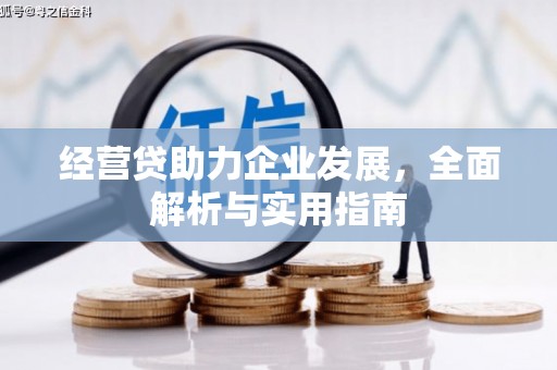 香格里拉经营贷助力企业发展，全面解析与实用指南