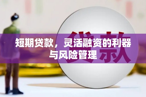 香格里拉短期贷款，灵活融资的利器与风险管理