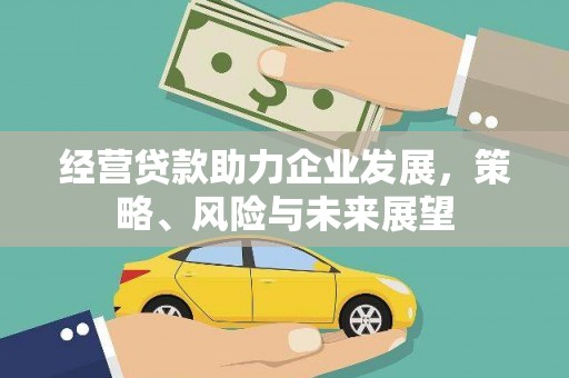 香格里拉经营贷款助力企业发展，策略、风险与未来展望