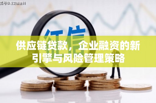 香格里拉供应链贷款，企业融资的新引擎与风险管理策略