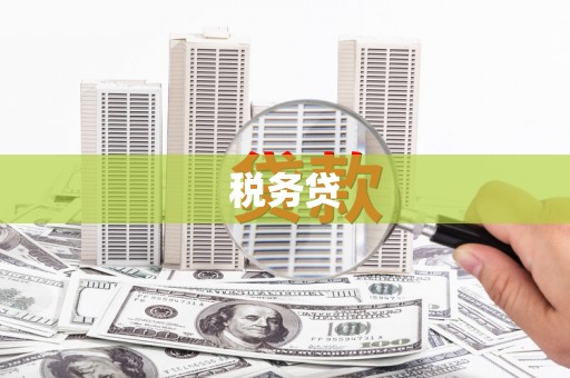 香格里拉税务贷