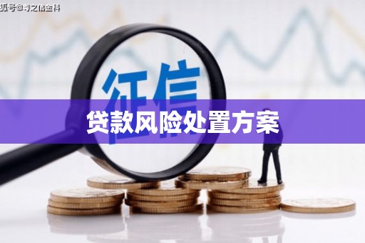 香格里拉贷款风险处置方案