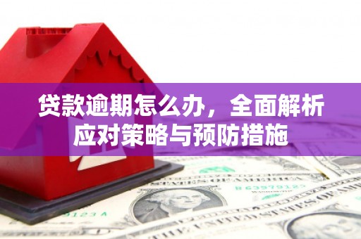 香格里拉贷款逾期怎么办，全面解析应对策略与预防措施