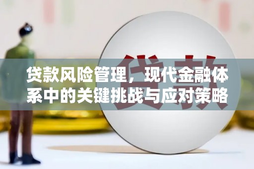 香格里拉贷款风险管理，现代金融体系中的关键挑战与应对策略