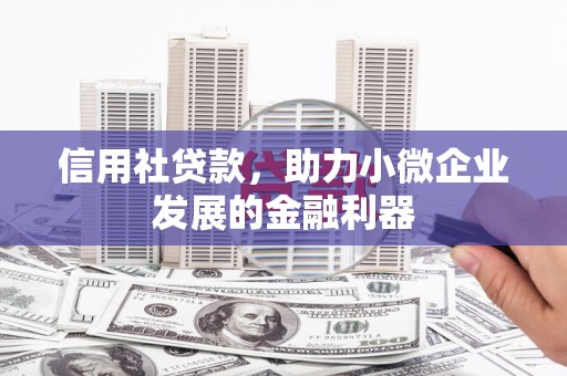 香格里拉信用社贷款，助力小微企业发展的金融利器