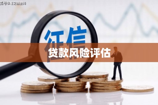 香格里拉贷款风险评估