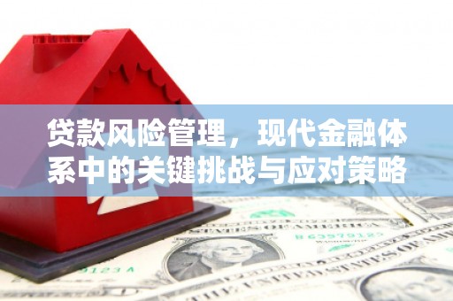 香格里拉贷款风险管理，现代金融体系中的关键挑战与应对策略