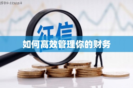 香格里拉如何高效管理你的财务