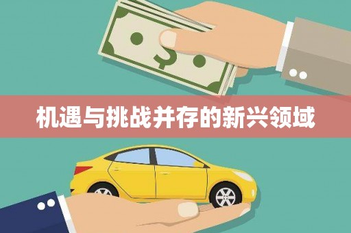 香格里拉机遇与挑战并存的新兴领域