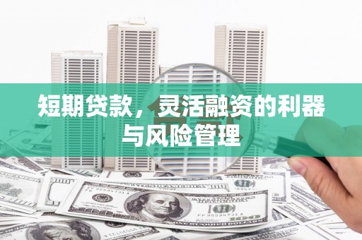 香格里拉短期贷款，灵活融资的利器与风险管理