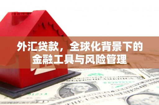 香格里拉外汇贷款，全球化背景下的金融工具与风险管理