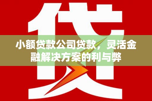 香格里拉小额贷款公司贷款，灵活金融解决方案的利与弊
